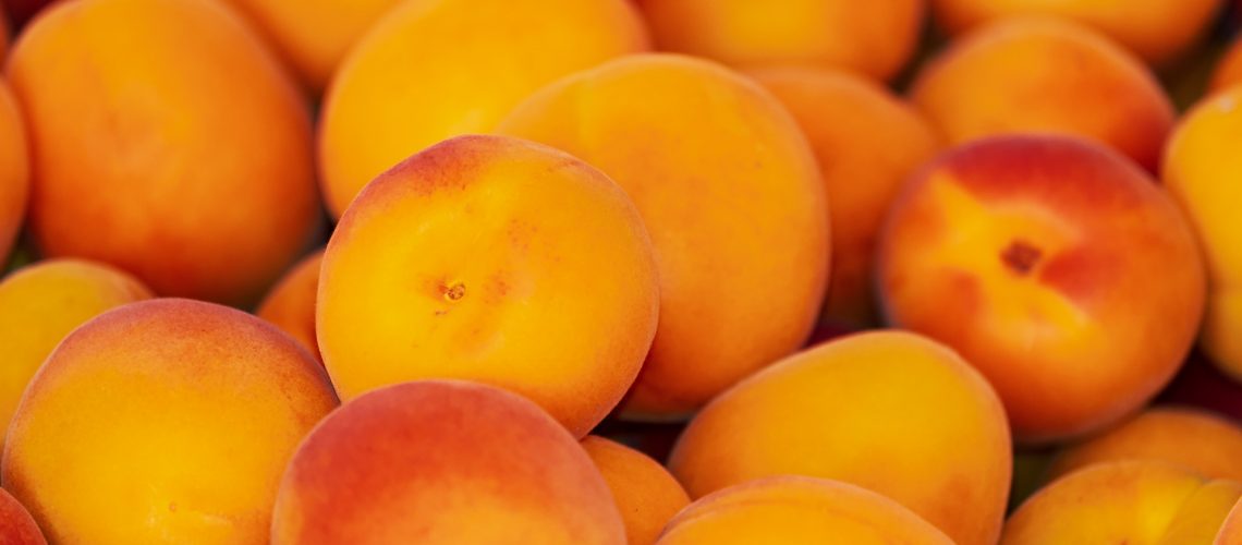 What Are The Different Types Of Apricots?